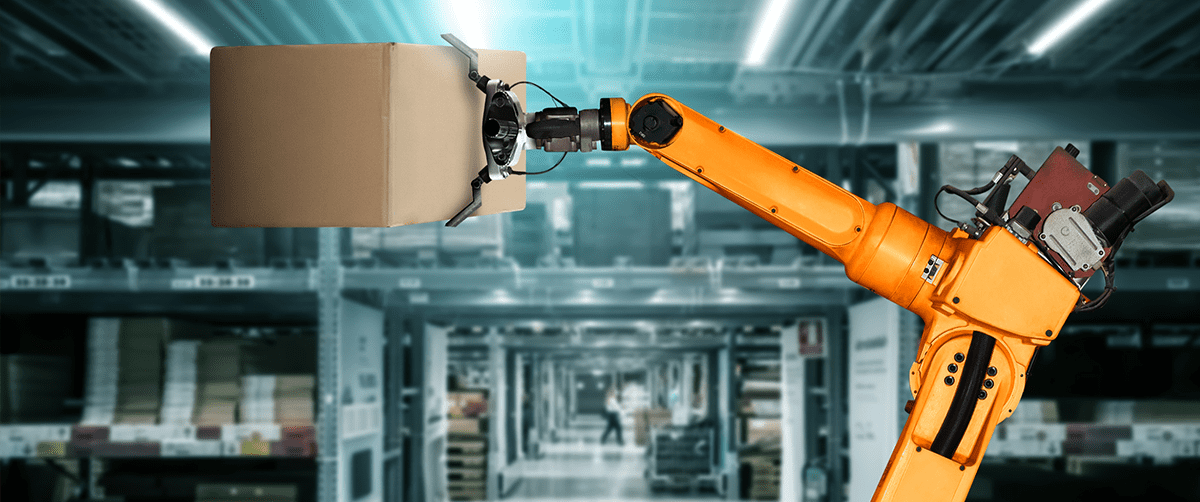 Palletizing Robot Calgary